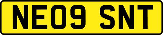 NE09SNT