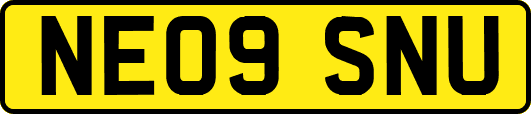 NE09SNU