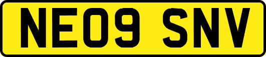 NE09SNV