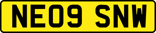 NE09SNW