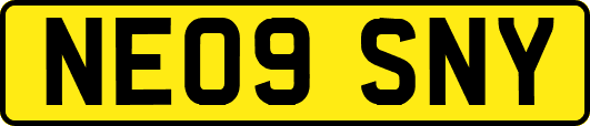 NE09SNY