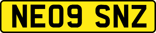 NE09SNZ