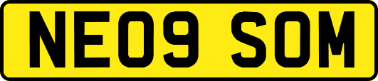 NE09SOM