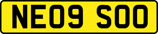 NE09SOO