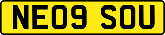 NE09SOU