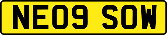 NE09SOW