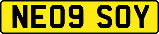 NE09SOY