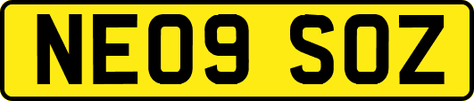 NE09SOZ