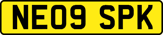 NE09SPK