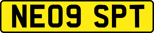 NE09SPT