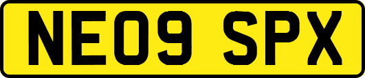 NE09SPX