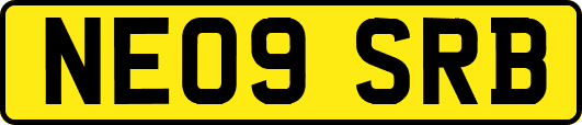 NE09SRB