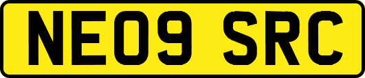 NE09SRC
