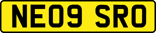 NE09SRO