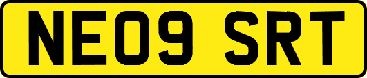 NE09SRT