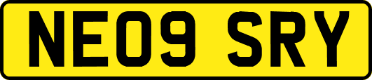 NE09SRY