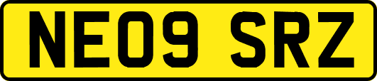 NE09SRZ