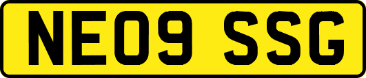 NE09SSG