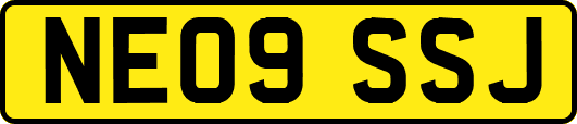 NE09SSJ