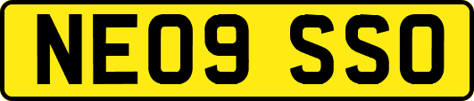 NE09SSO