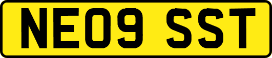 NE09SST