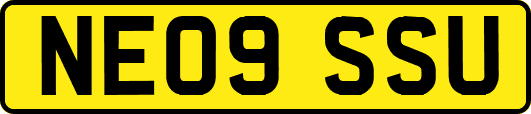 NE09SSU