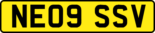 NE09SSV