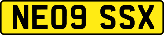 NE09SSX