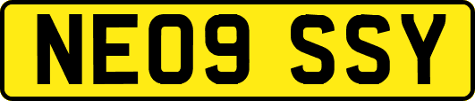 NE09SSY
