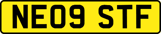 NE09STF