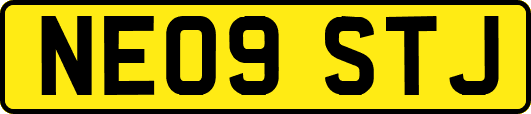 NE09STJ