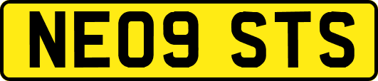 NE09STS