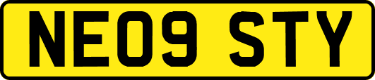 NE09STY