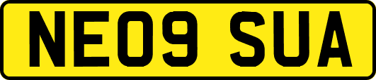 NE09SUA