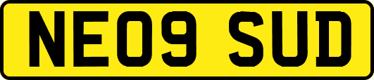 NE09SUD