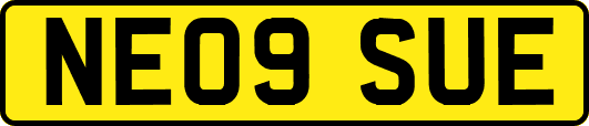 NE09SUE