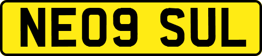NE09SUL
