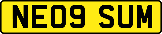NE09SUM