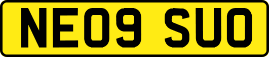 NE09SUO