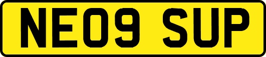 NE09SUP