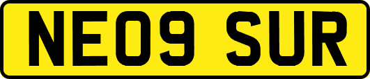 NE09SUR