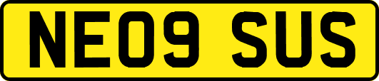 NE09SUS