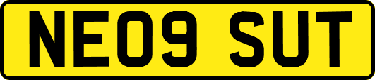 NE09SUT
