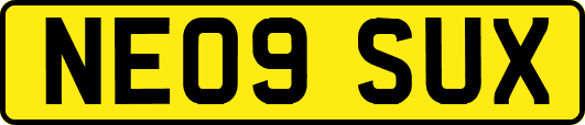 NE09SUX