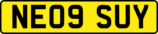 NE09SUY