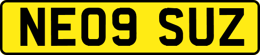 NE09SUZ