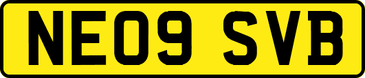 NE09SVB