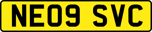 NE09SVC