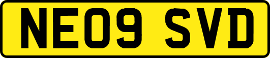NE09SVD