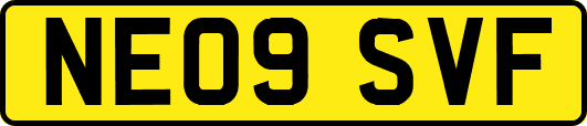NE09SVF